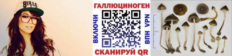 Галлюциногенные грибы прущие грибы  Белокуриха 